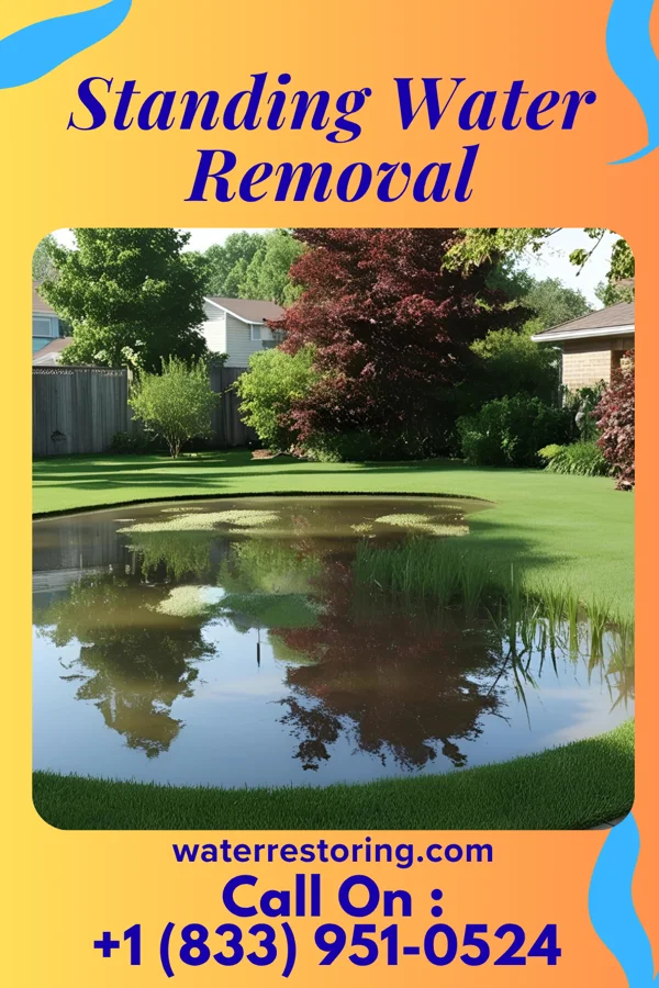 Standing Water Removal in Walnut Creek, NC